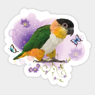 caique Sticker